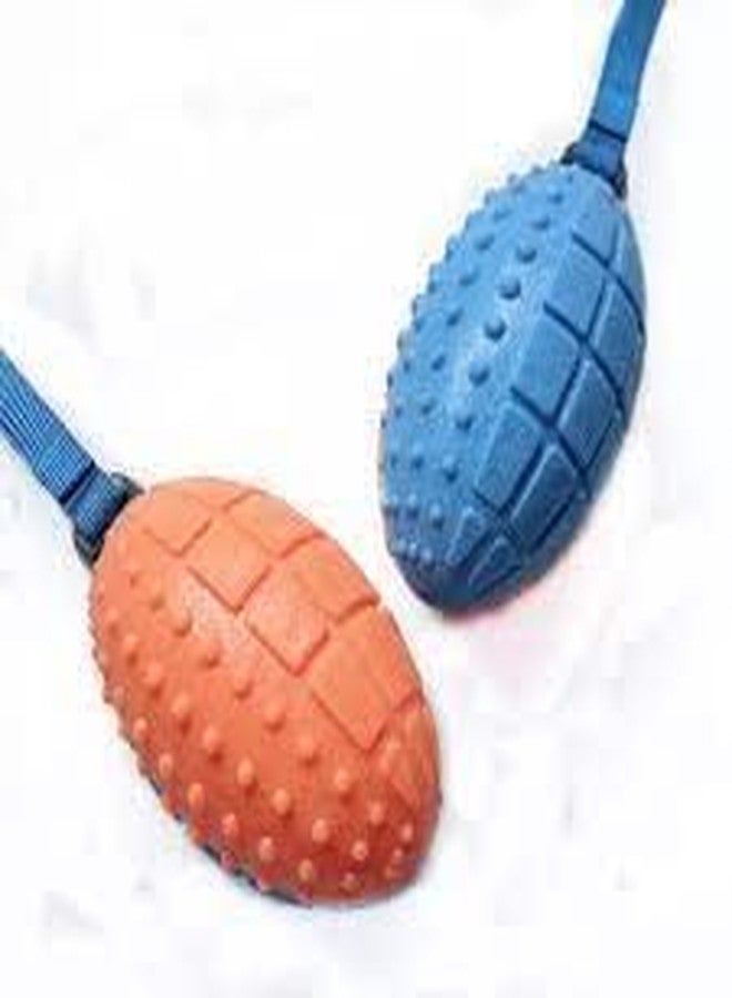 Smart Pups Squeaky Rugby Rugby Ball with Nubs and Grip, Squeaky, Ball 150g (Color May Vary), Medium, Pack of 1 Pcs - Image 3